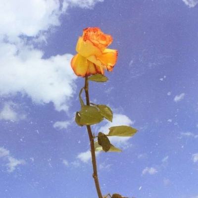 nextbots在线多人版奥本加游戏下载