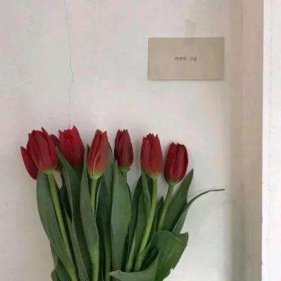 天天打怪兽腾讯版下载
