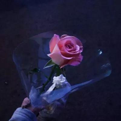 277手游官方版下载